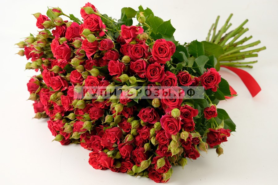 Букет роз 25 Красных кустовых роз